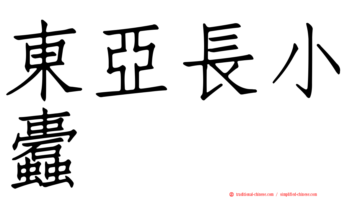 東亞長小蠹