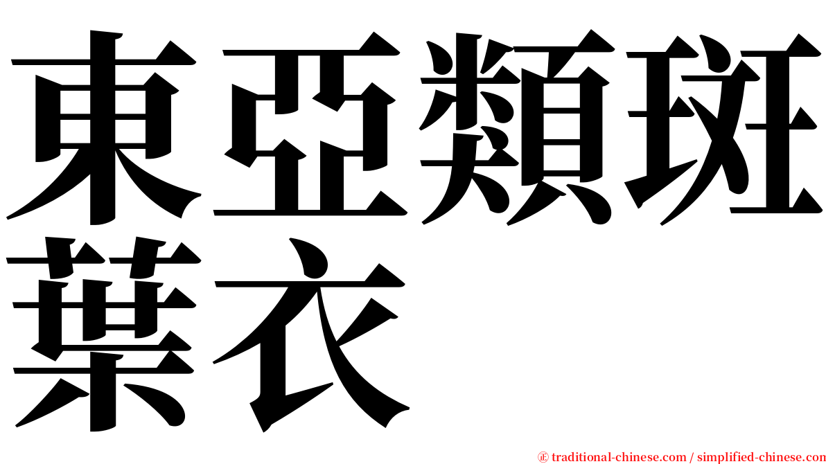 東亞類斑葉衣 serif font