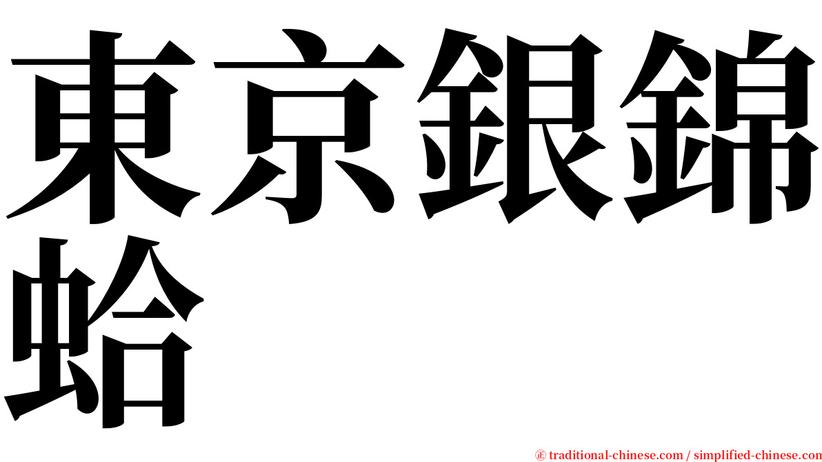 東京銀錦蛤 serif font