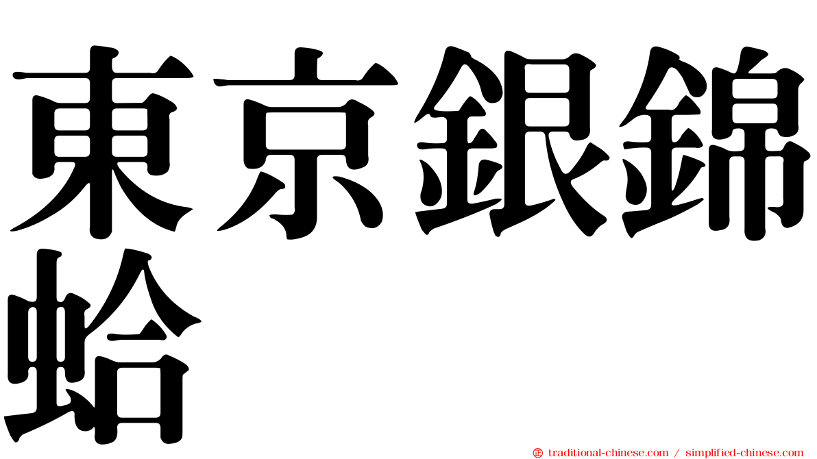 東京銀錦蛤