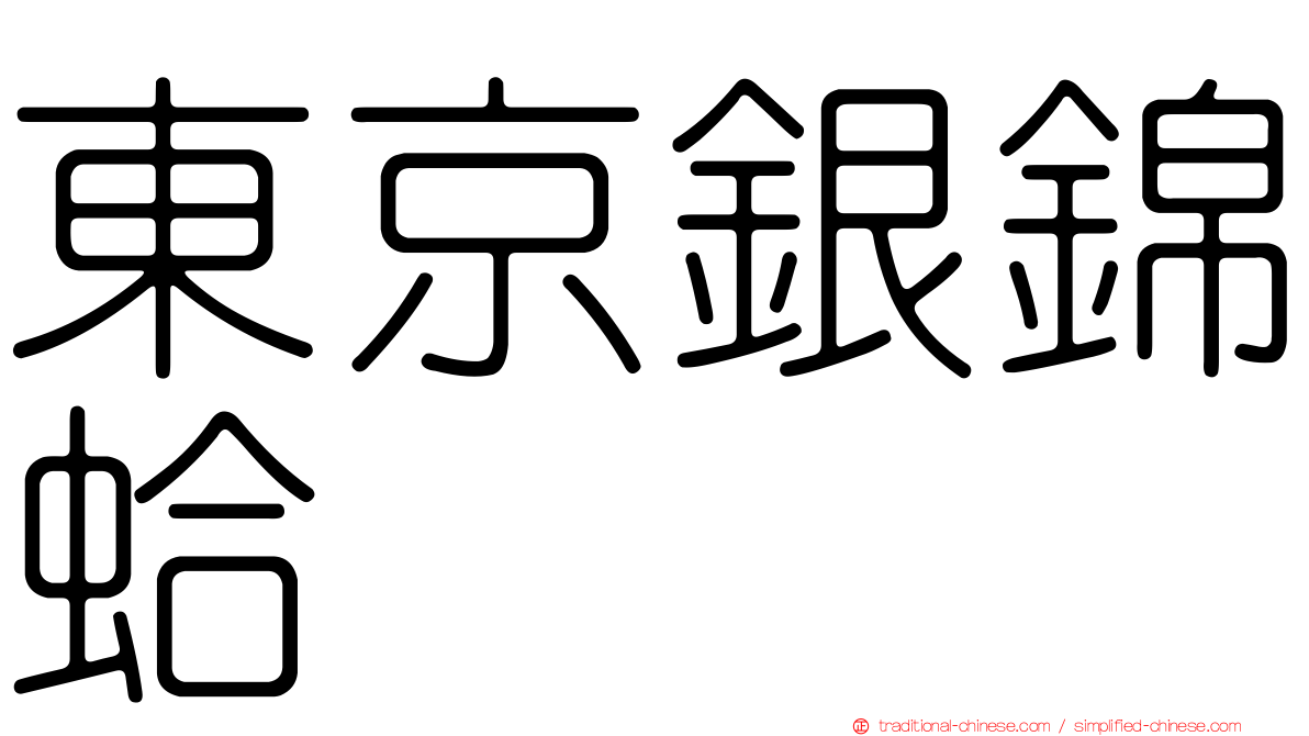 東京銀錦蛤