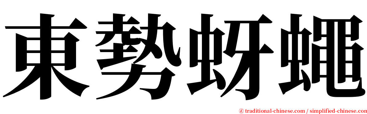 東勢蚜蠅 serif font