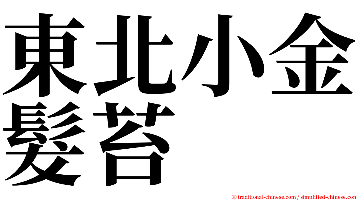 東北小金髮苔 serif font