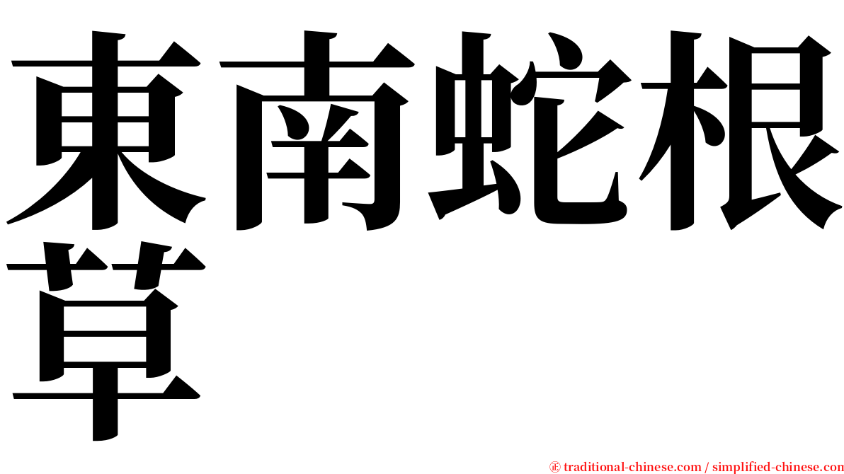 東南蛇根草 serif font