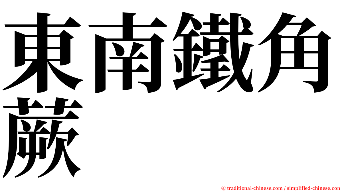 東南鐵角蕨 serif font