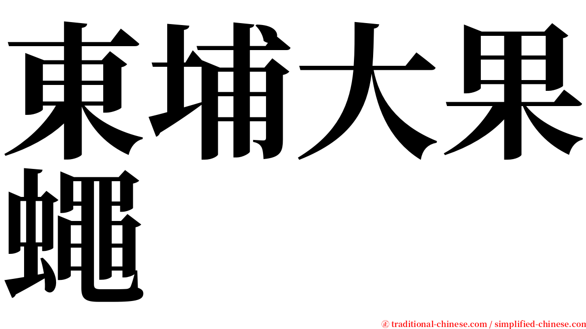 東埔大果蠅 serif font