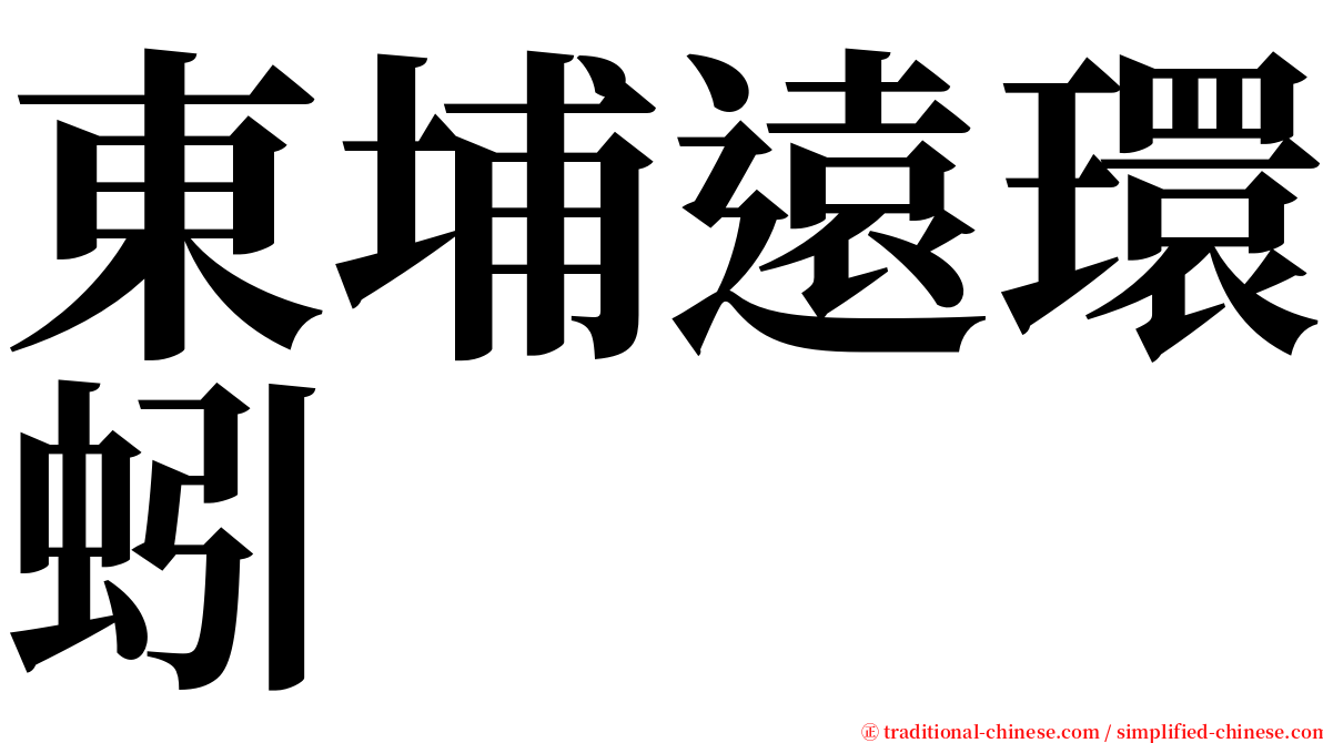 東埔遠環蚓 serif font