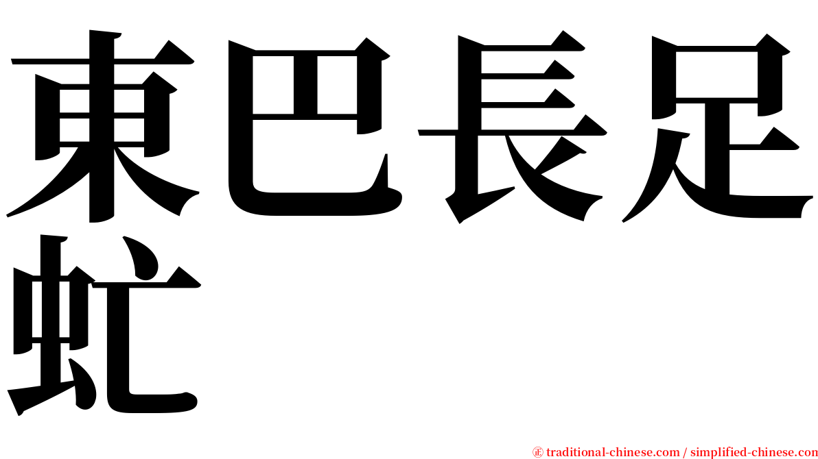 東巴長足虻 serif font