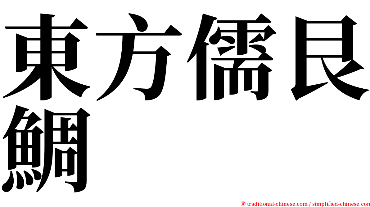 東方儒艮鯛 serif font