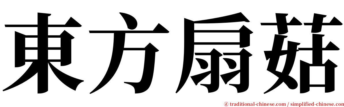 東方扇菇 serif font