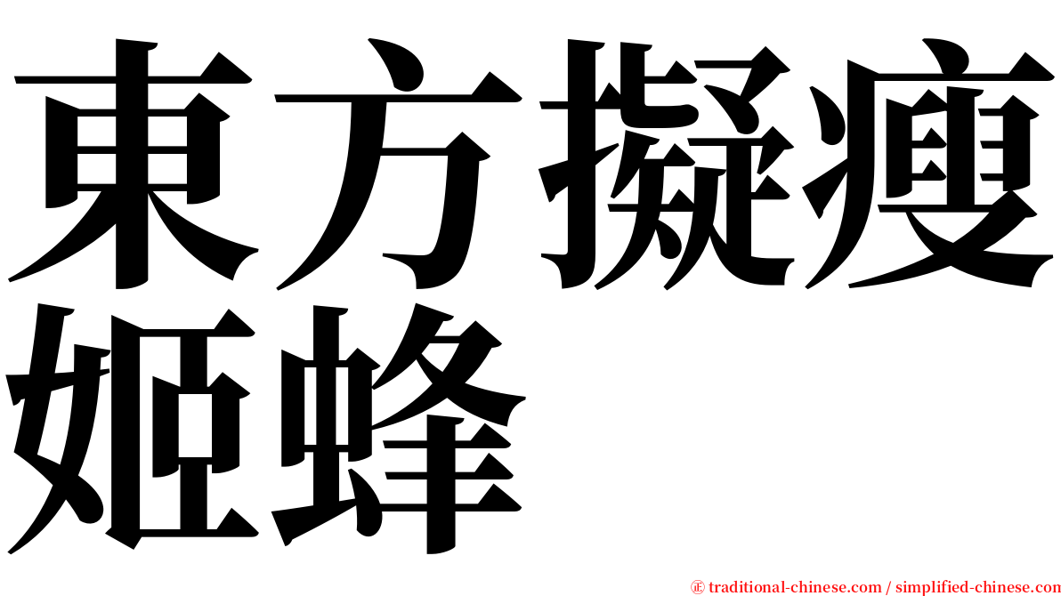 東方擬瘦姬蜂 serif font