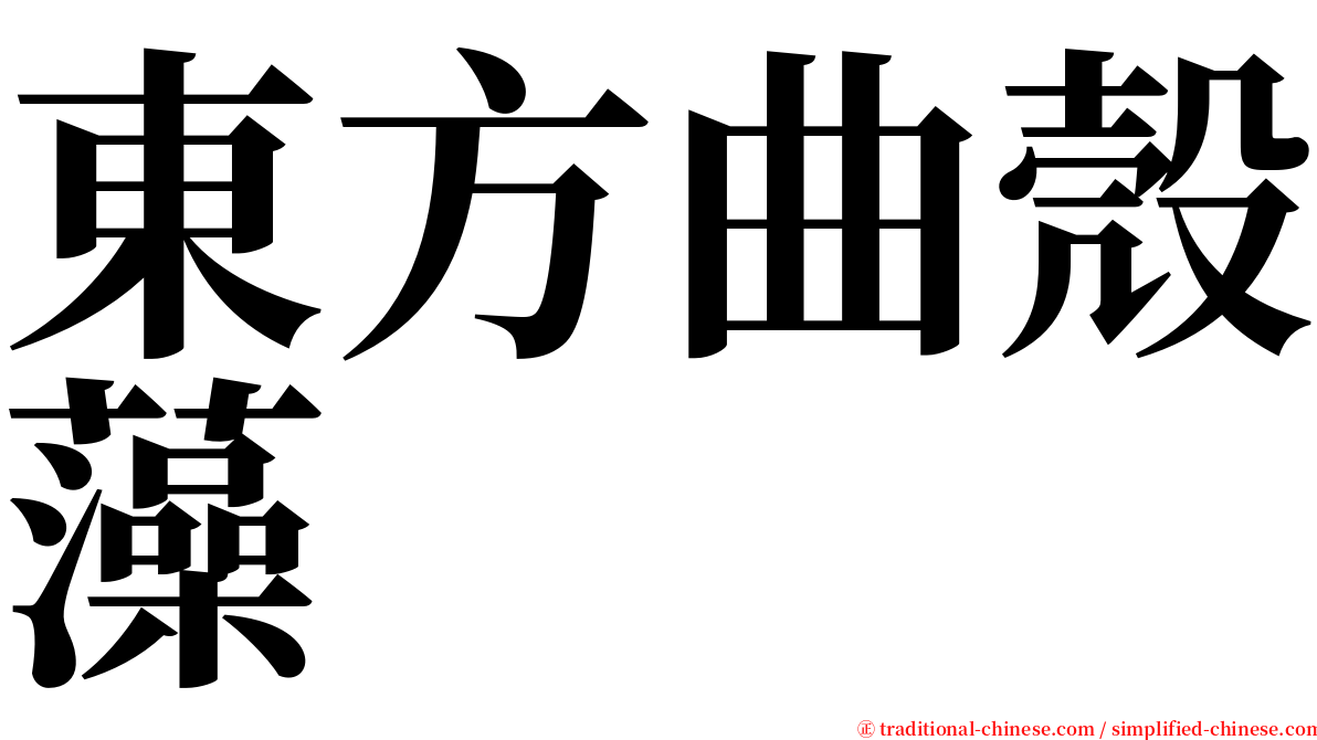 東方曲殼藻 serif font