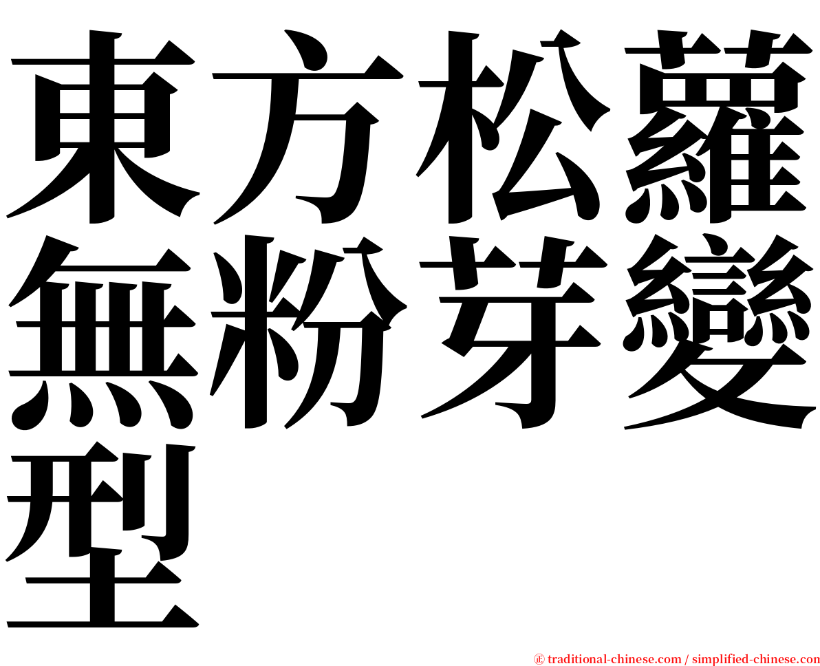 東方松蘿無粉芽變型 serif font