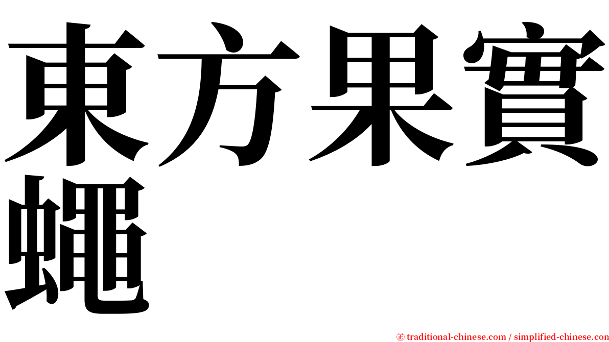 東方果實蠅 serif font