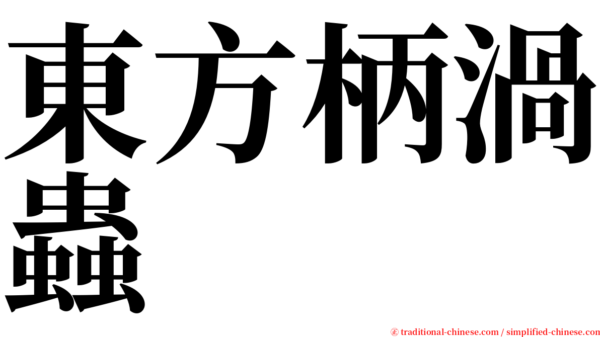 東方柄渦蟲 serif font