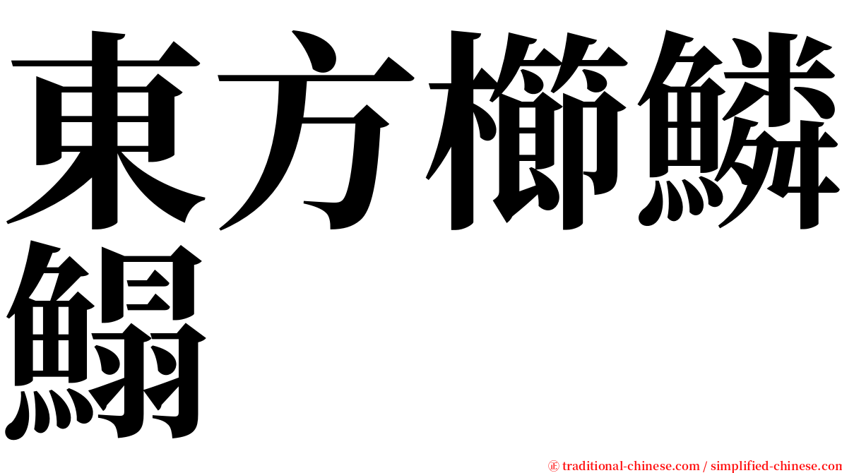 東方櫛鱗鰨 serif font