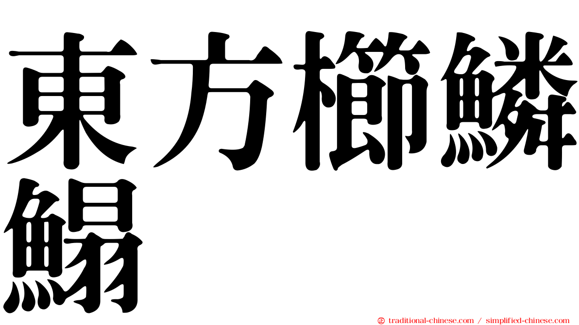 東方櫛鱗鰨