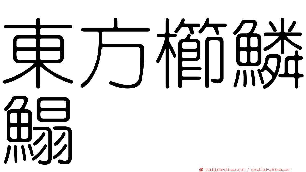 東方櫛鱗鰨