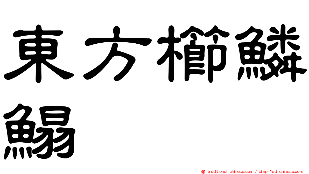 東方櫛鱗鰨