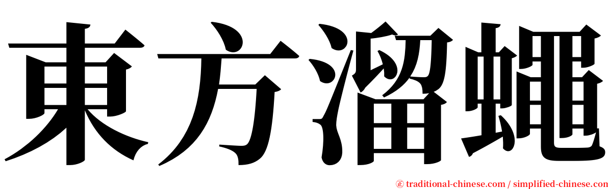 東方溜蠅 serif font