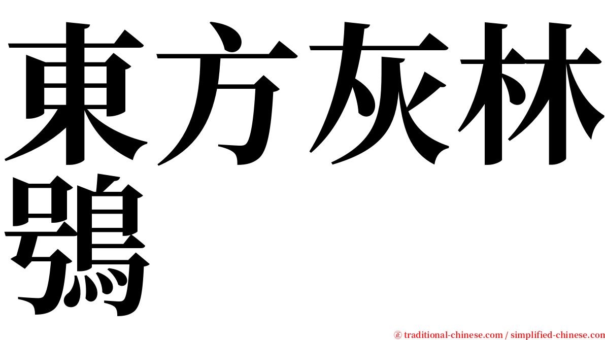 東方灰林鴞 serif font