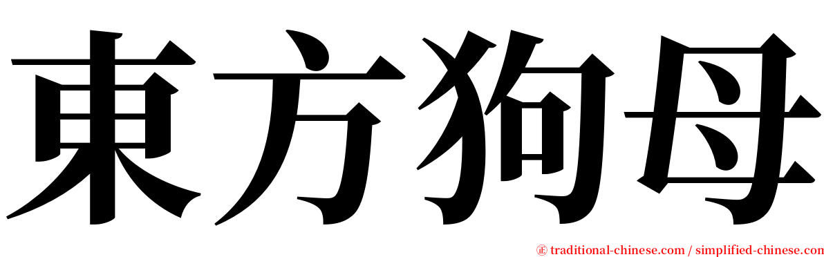 東方狗母 serif font