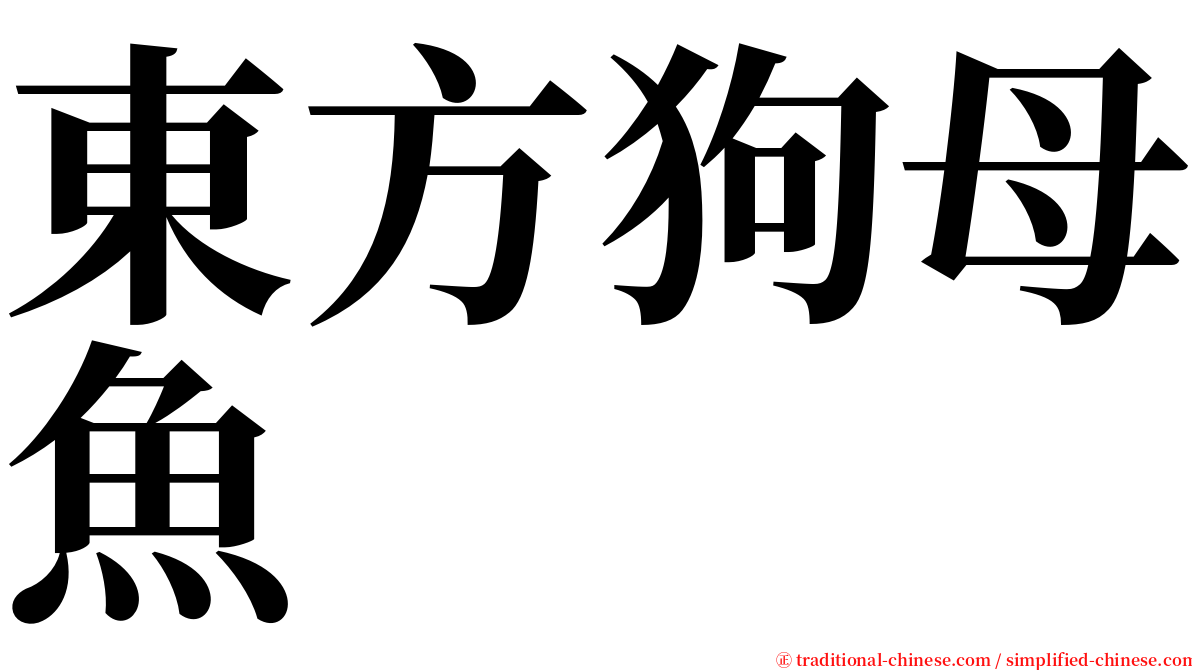 東方狗母魚 serif font