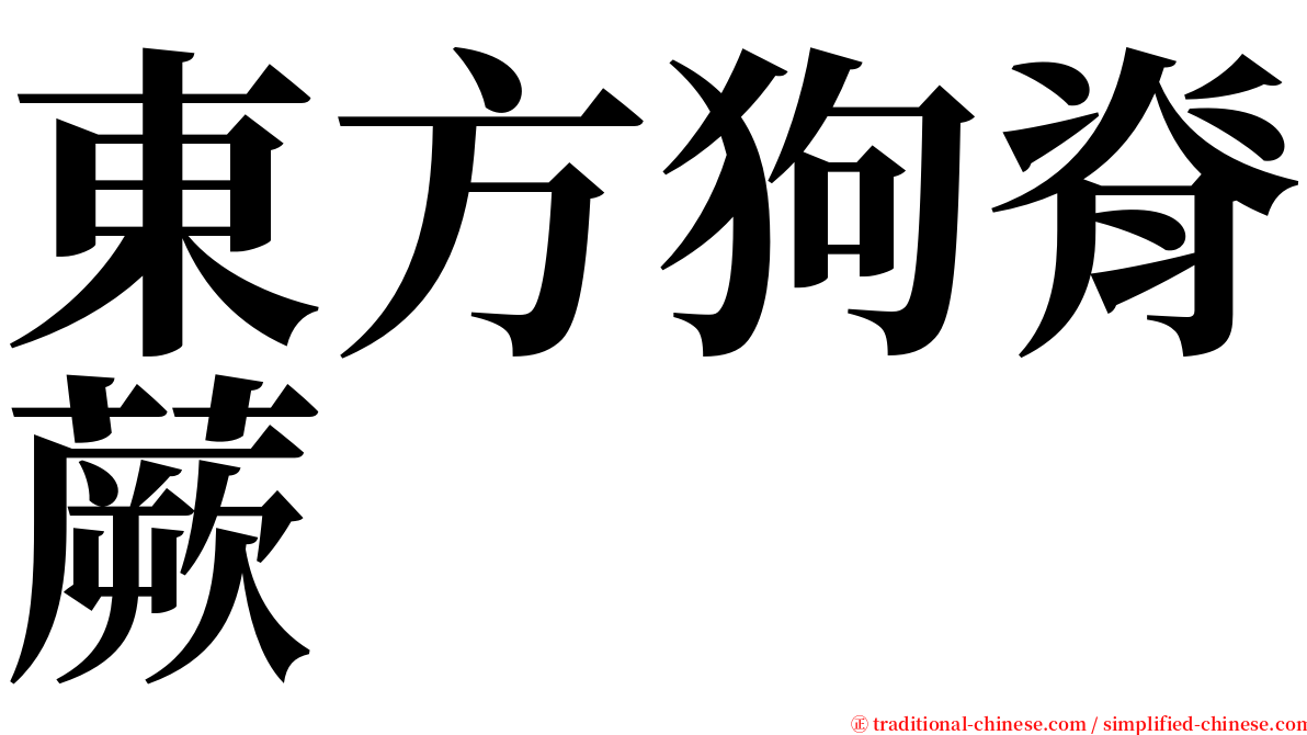 東方狗脊蕨 serif font