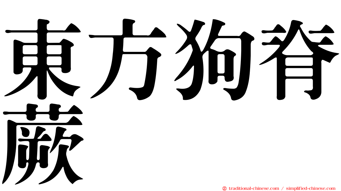 東方狗脊蕨