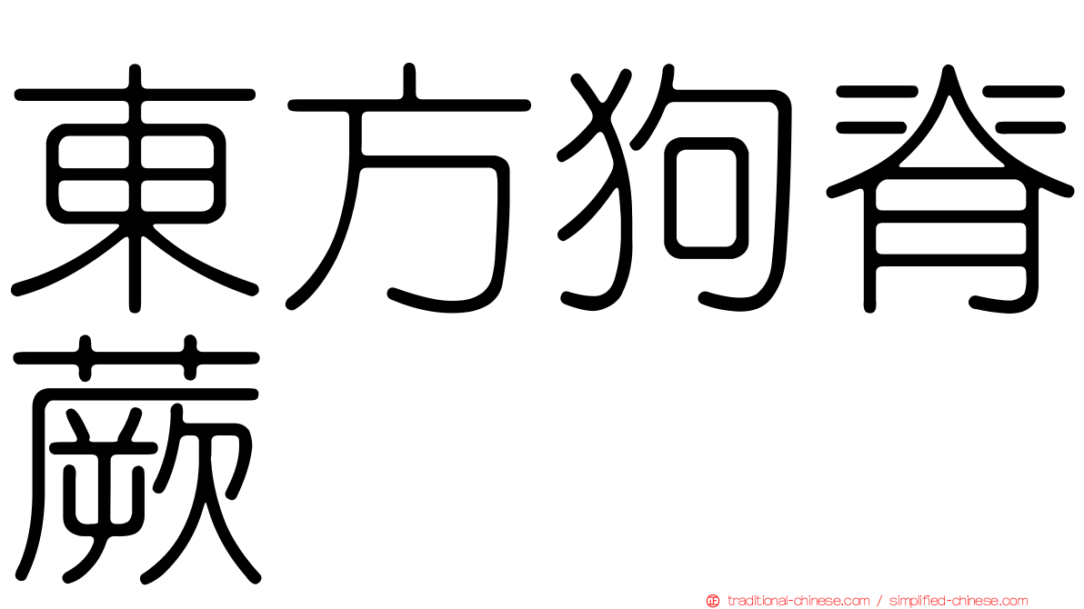 東方狗脊蕨