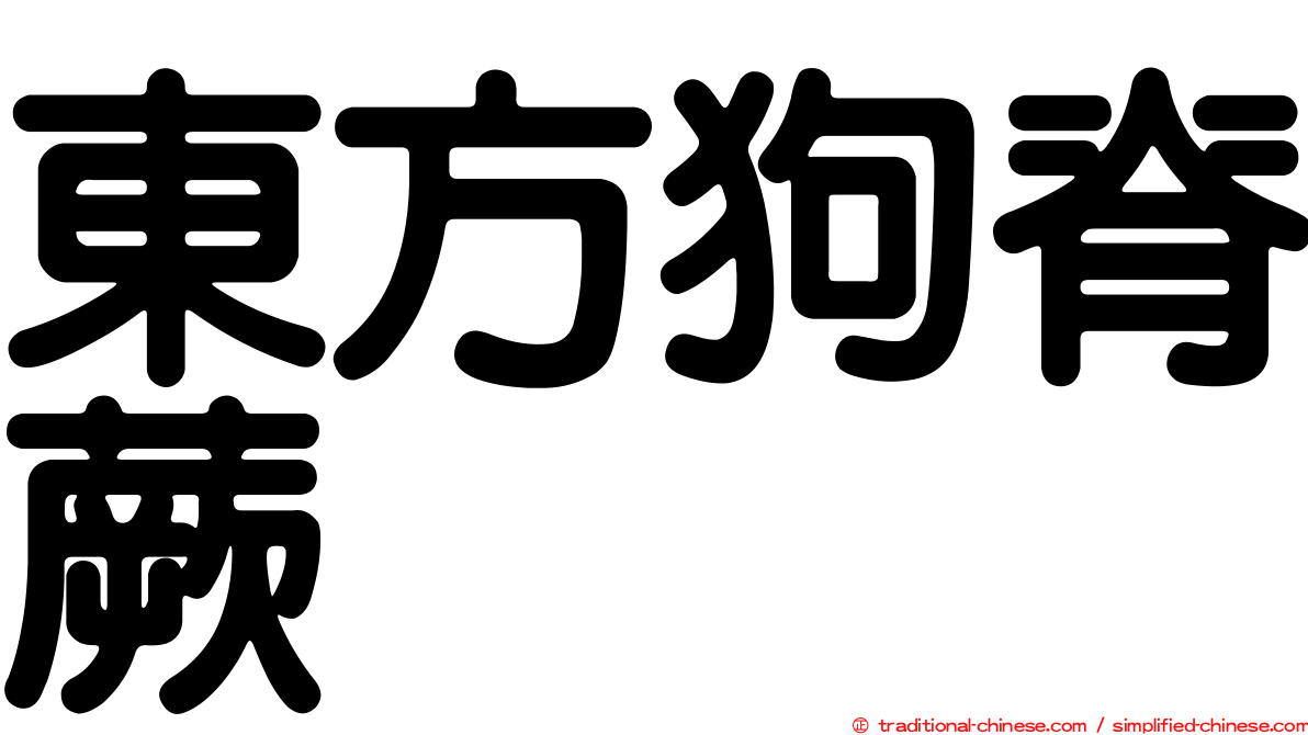 東方狗脊蕨