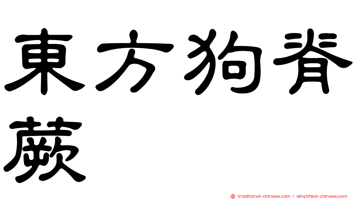 東方狗脊蕨