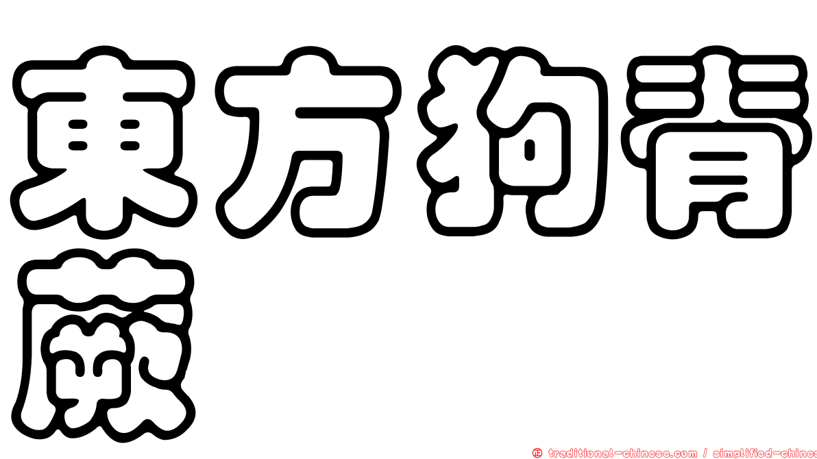 東方狗脊蕨