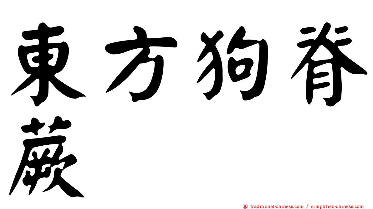 東方狗脊蕨