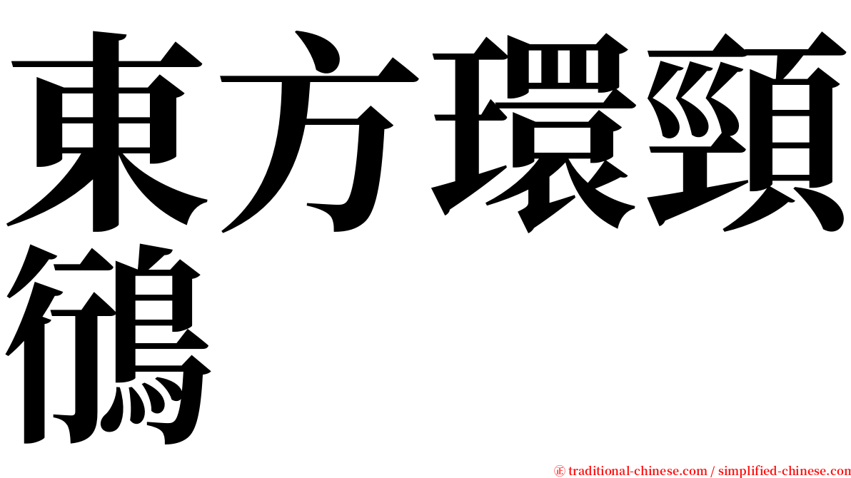 東方環頸鴴 serif font