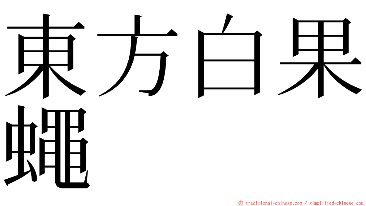 東方白果蠅 ming font