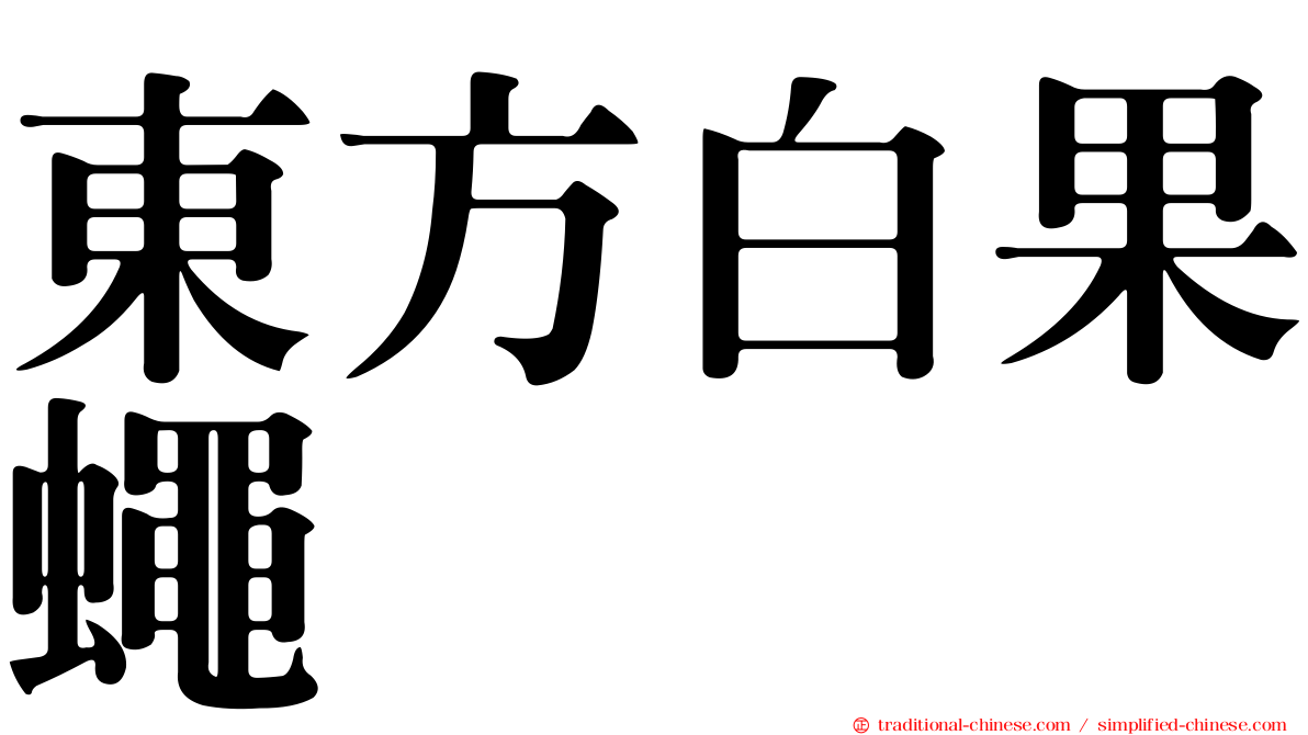 東方白果蠅