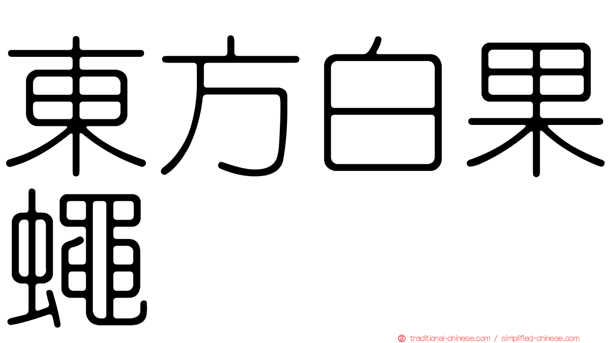 東方白果蠅