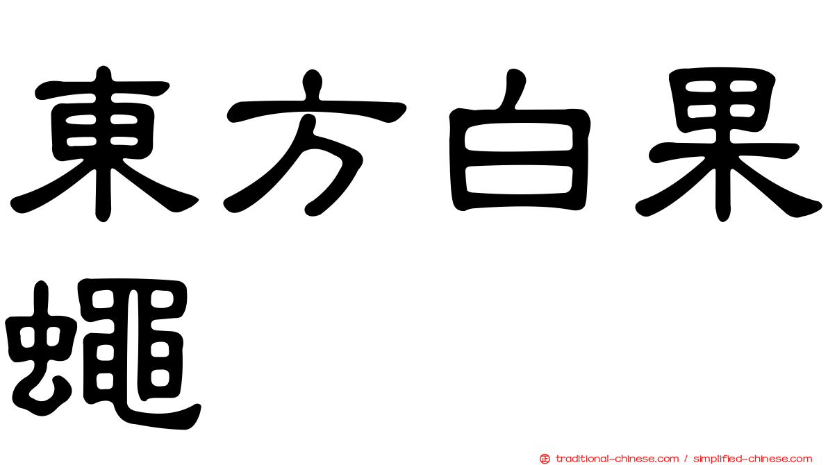 東方白果蠅
