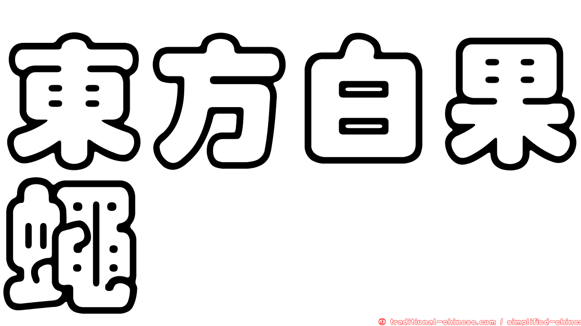 東方白果蠅