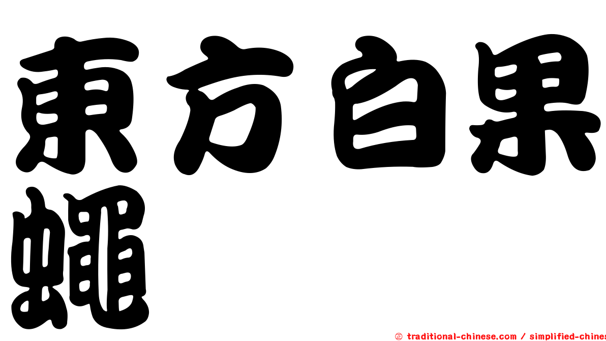 東方白果蠅