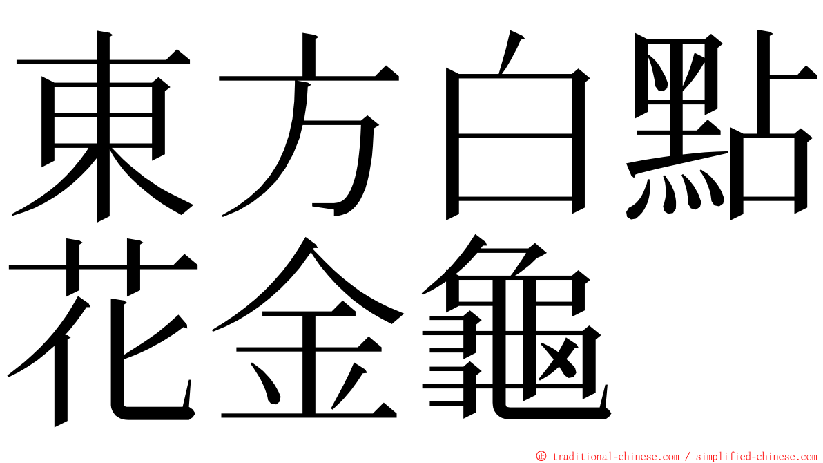 東方白點花金龜 ming font