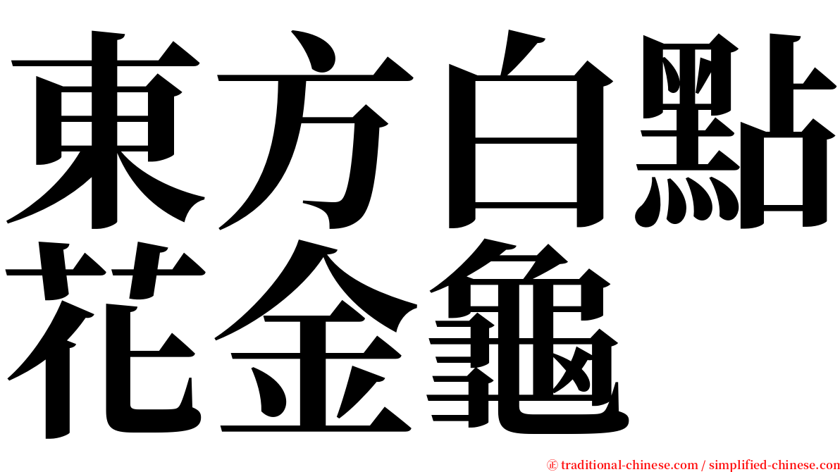 東方白點花金龜 serif font