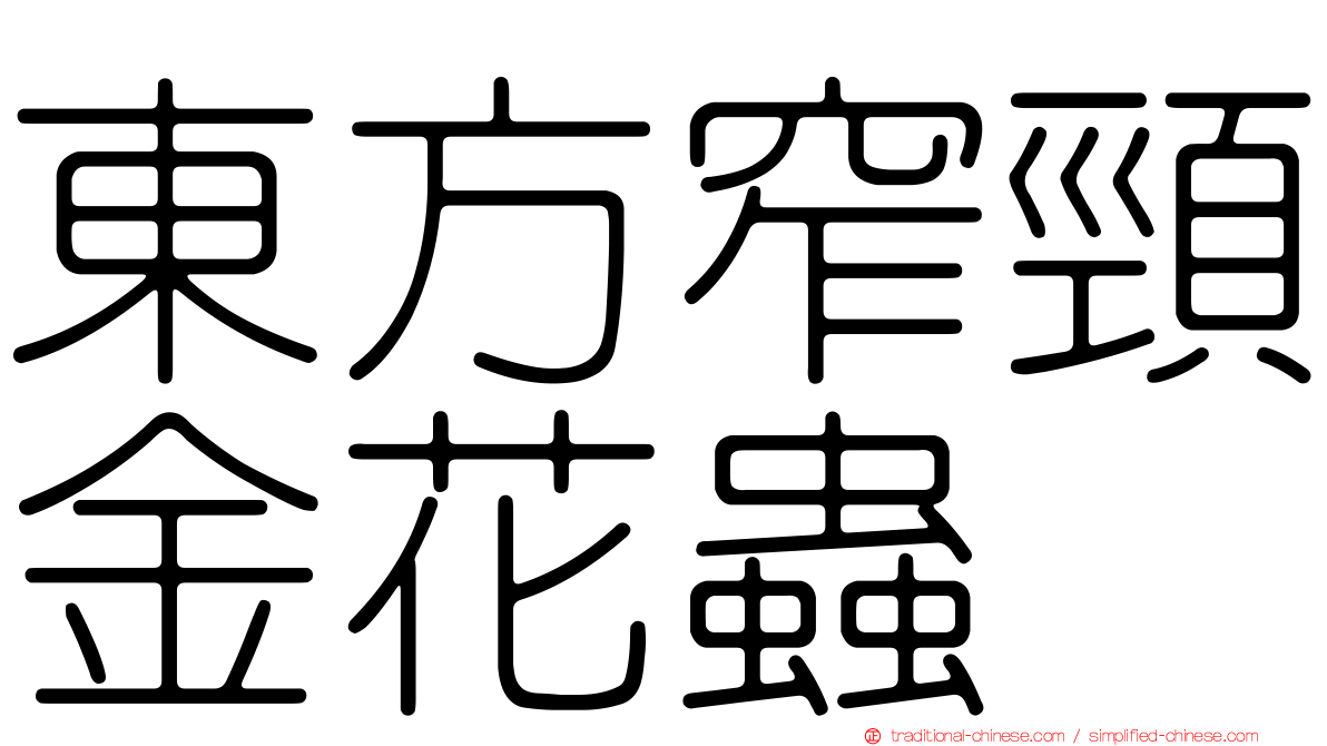 東方窄頸金花蟲