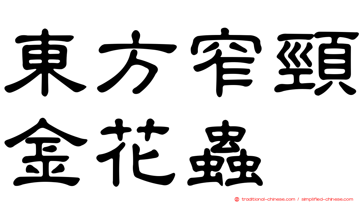 東方窄頸金花蟲