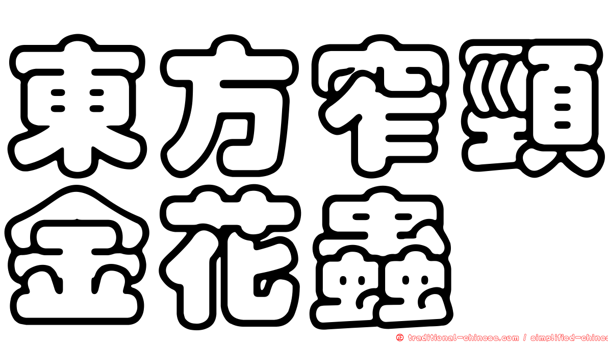 東方窄頸金花蟲