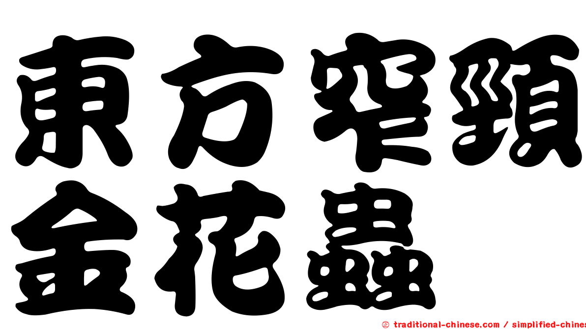 東方窄頸金花蟲