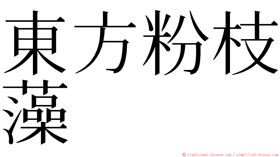 東方粉枝藻 ming font