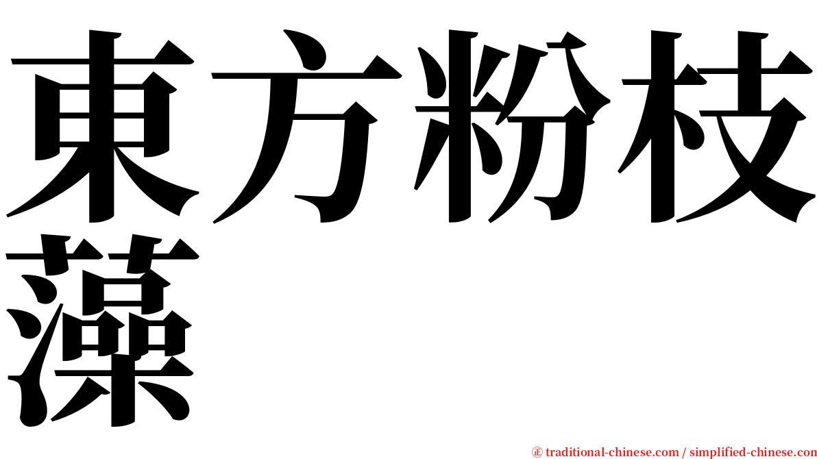 東方粉枝藻 serif font