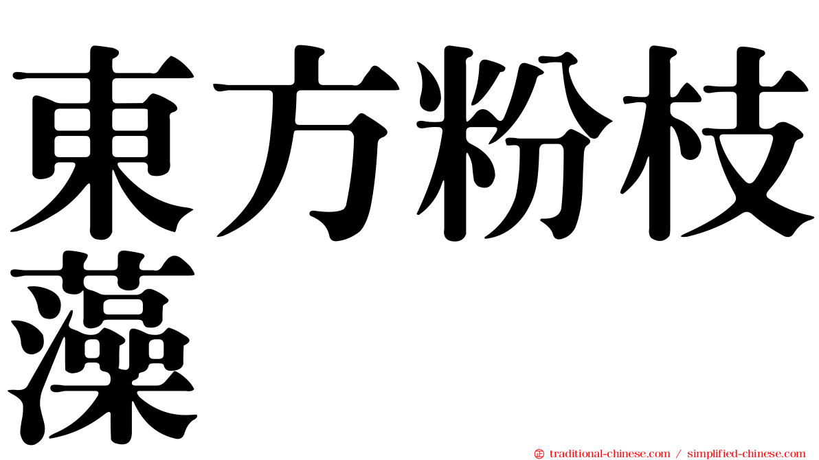 東方粉枝藻